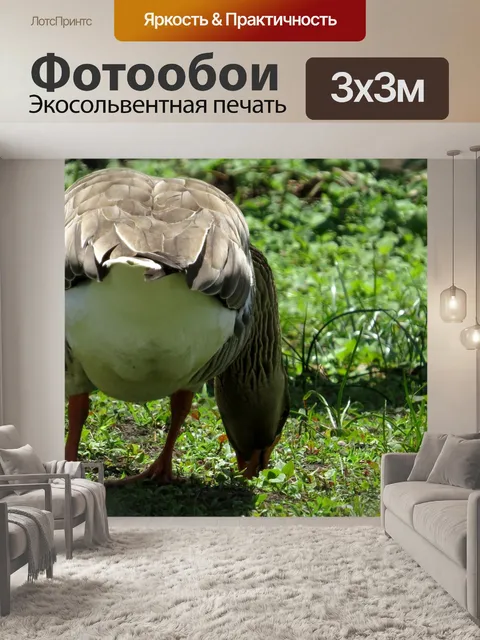 Фотообои Природа