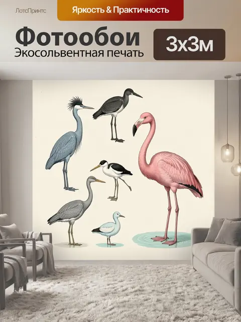 Фотообои Разнообразные птицы в иллюстрации