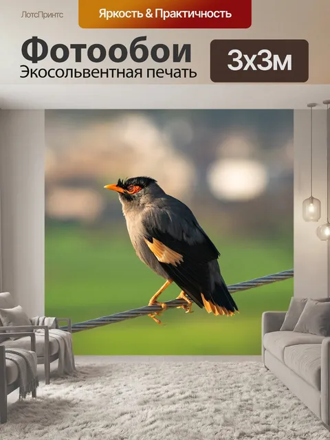 Фотообои Птица