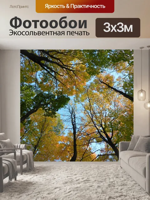 Фотообои Деревья
