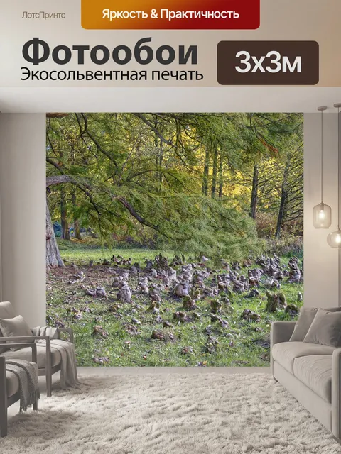 Фотообои Дерево