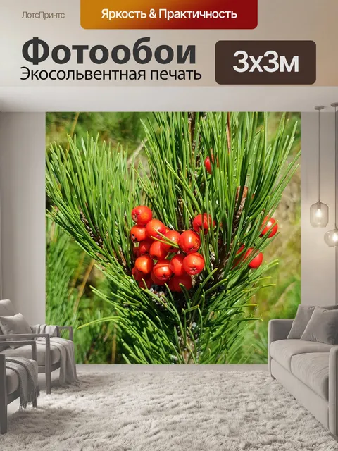 Фотообои Лес