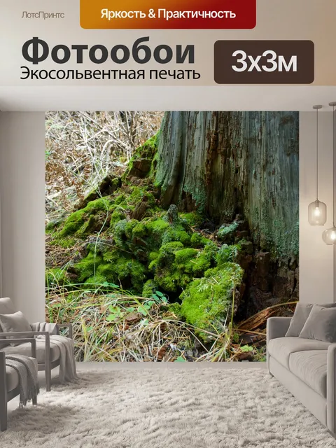 Фотообои Мосский сундук