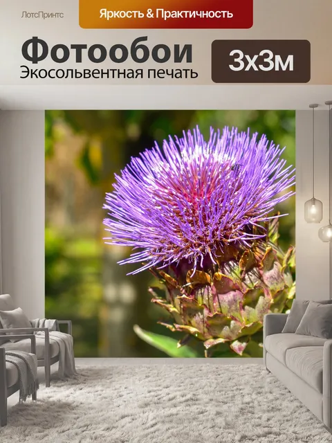 Фотообои Цветы