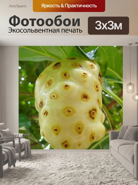 Фотообои Нони
