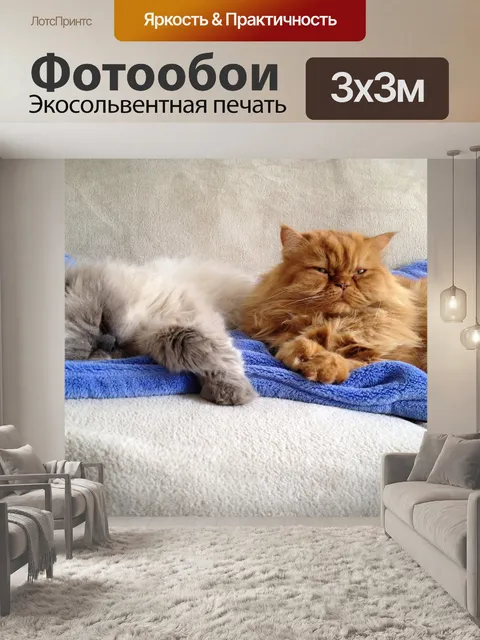 Фотообои Кошки