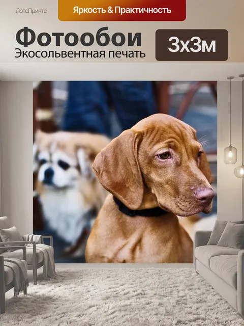 Фотообои Собаки