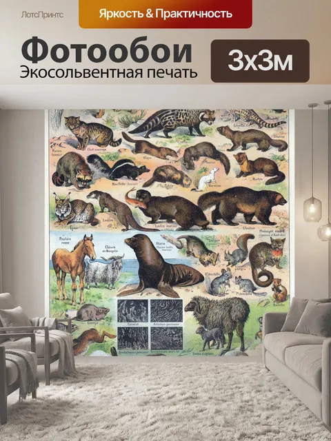 Фотообои Животные иллюстрации старинное искусство