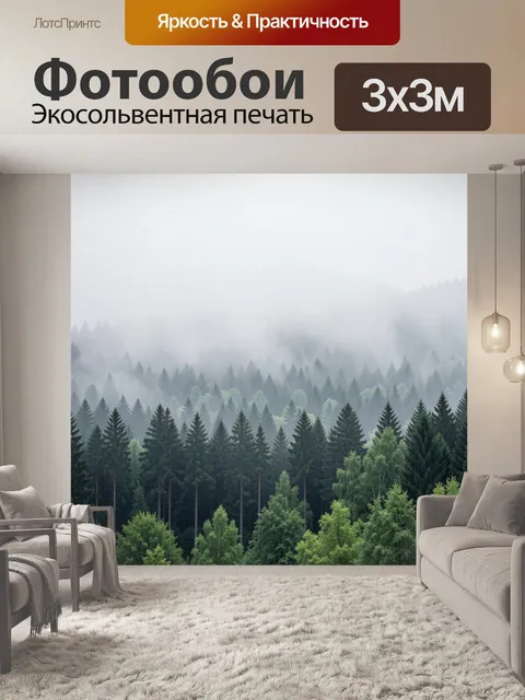 Фотообои Туманный еловый лес