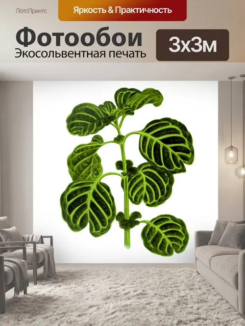 Фотообои Листва лист растение прозрачный