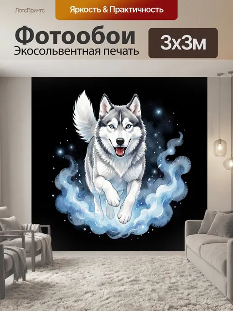 Фотообои Белоснежный хаски в движении