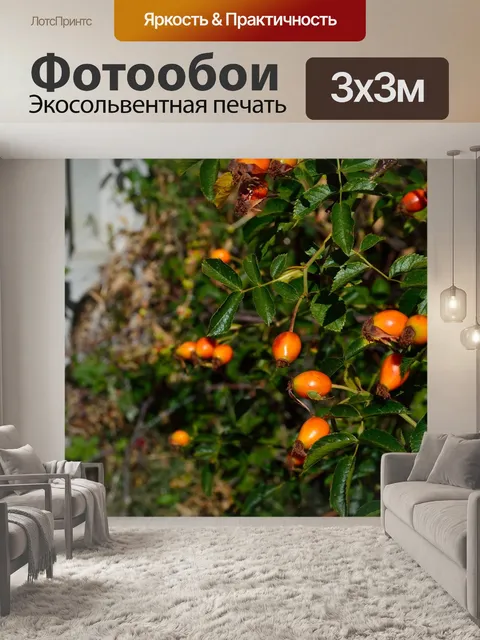 Фотообои Фрукты