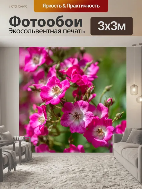 Фотообои Розы