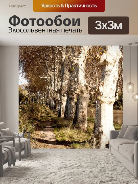 Фотообои Деревья