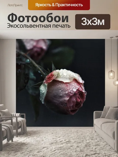 Фотообои Роза