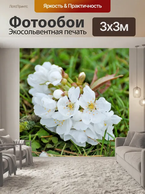 Фотообои Цветение вишни