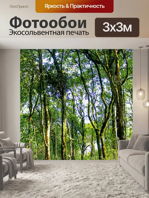 Фотообои Тропинка в садовых джунглях