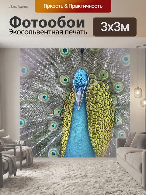 Фотообои Павлин