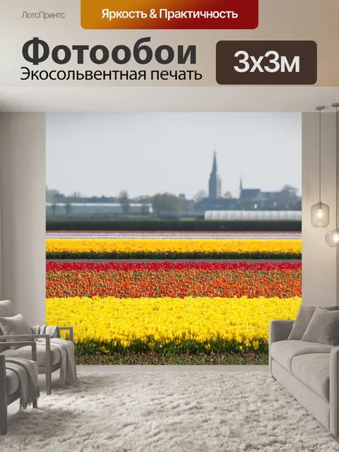 Фотообои Тюльпаны