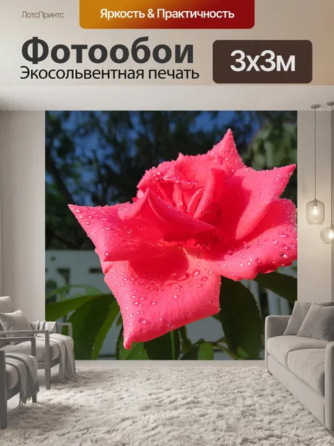 Фотообои Красоту розы