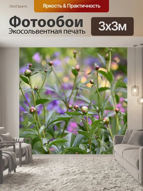 Фотообои Пионы