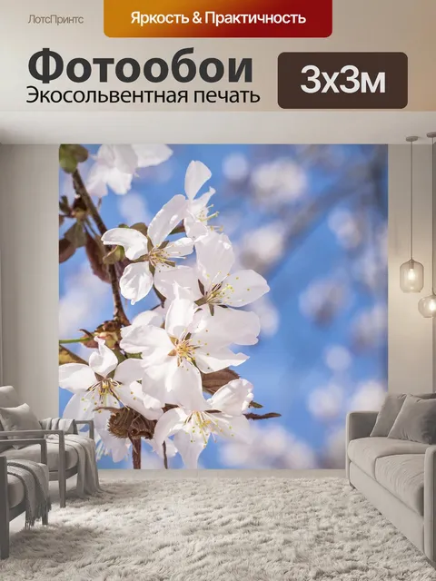 Фотообои Сакура