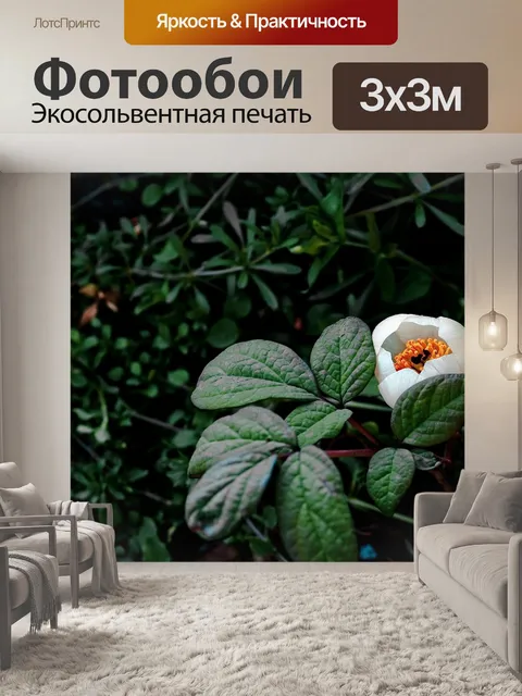 Фотообои Горный пион цветы