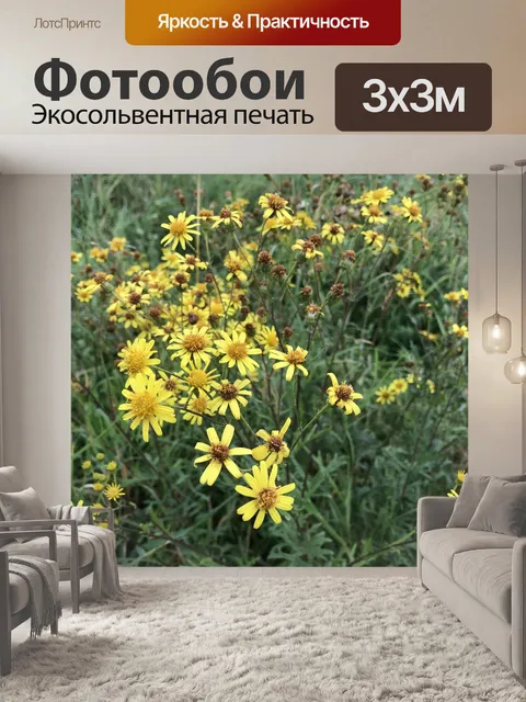 Фотообои Цветок
