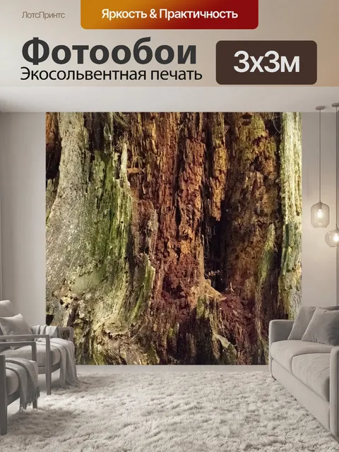 Фотообои Ствол