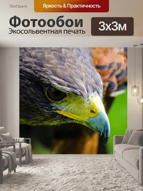 Фотообои Птица