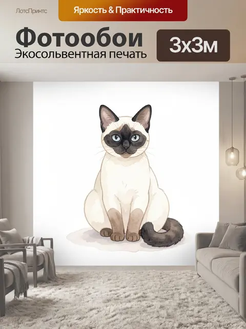 Фотообои Котик в белом свитере с черной лапкой