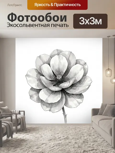 Фотообои Акварельный анемон в монохроме