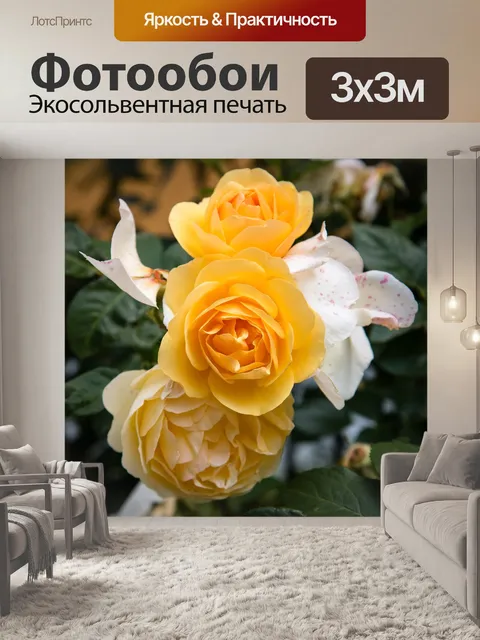 Фотообои Роза