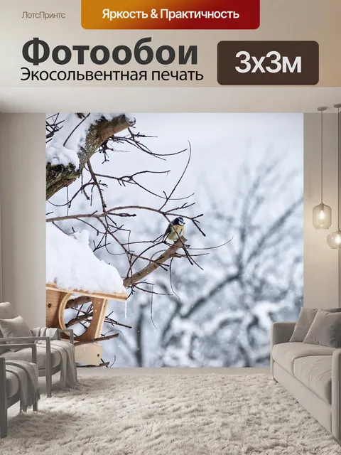 Фотообои Птица