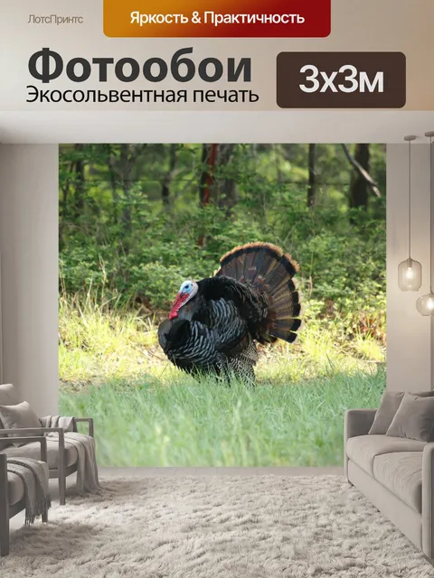 Фотообои Том Турция в поле Страна