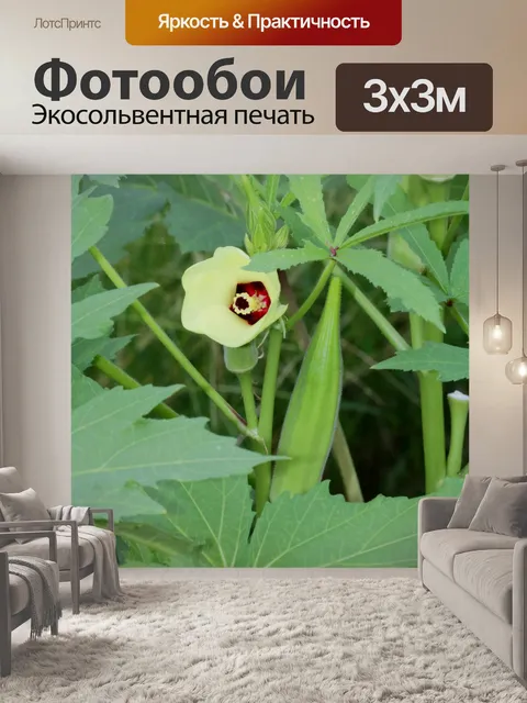 Фотообои Okra Pod и Bloom