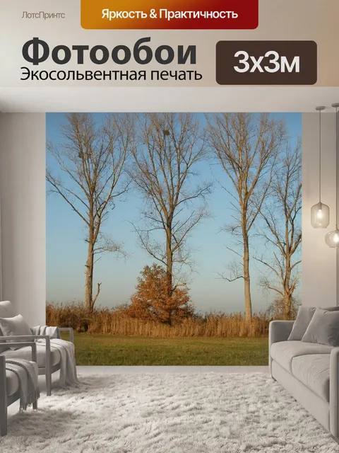 Фотообои Тополь трехгранный