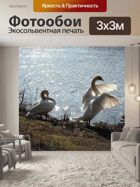 Фотообои Лебеди