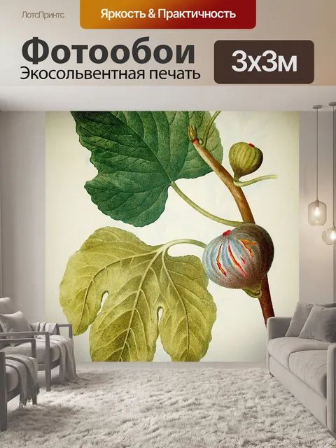 Фотообои Рис