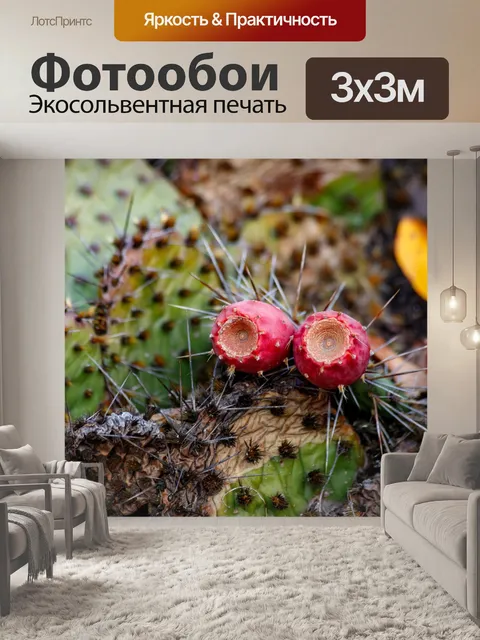 Фотообои Ботанический сад в Быдгоще