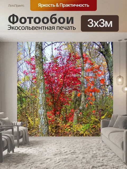 Фотообои Осенние деревья