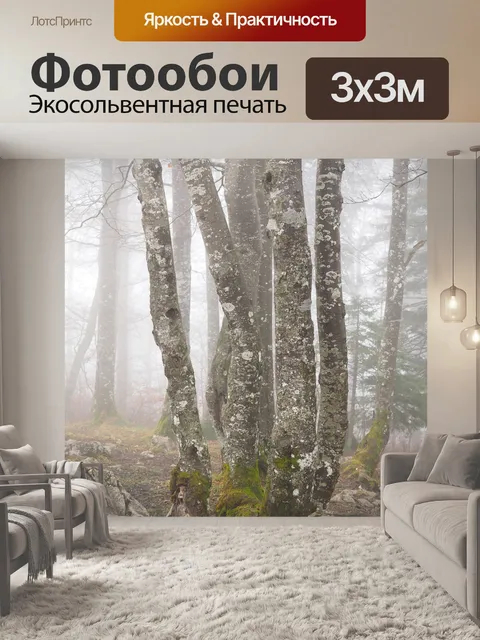Фотообои Лес