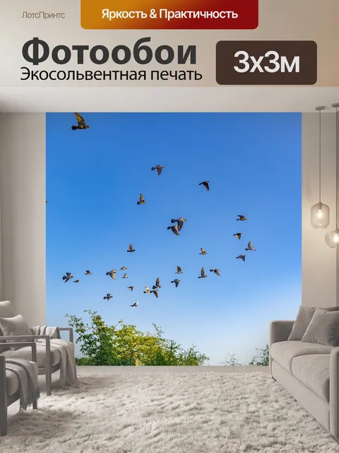 Фотообои Птицы