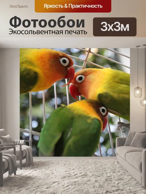 Фотообои Птица