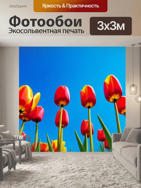 Фотообои яркие тюльпаны на фоне голубого неба