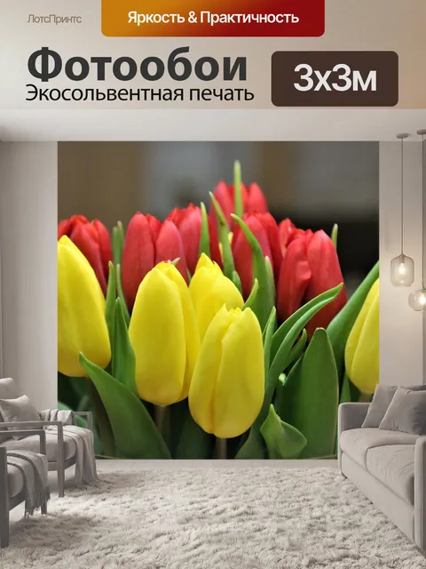 Фотообои Тюльпаны