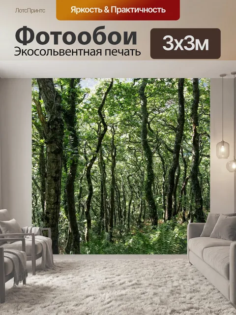 Фотообои Лесной массив