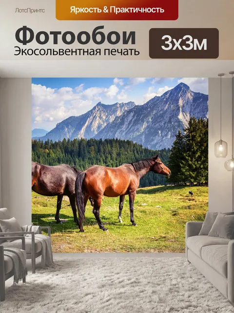 Фотообои Лошадь