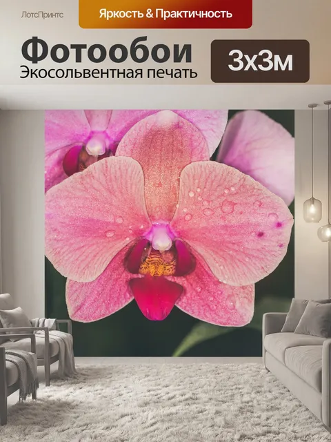 Фотообои Цветы