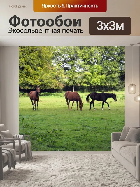Фотообои Лошадь